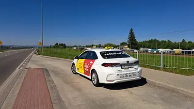 DEPartner Rekomendowany Partner Uber Bolt FreeNow Płock